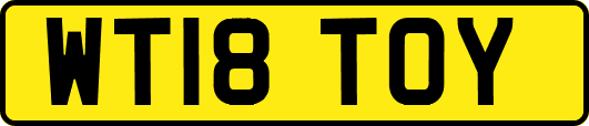 WT18TOY
