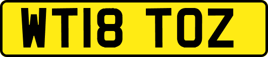 WT18TOZ