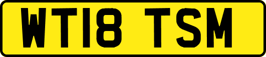 WT18TSM