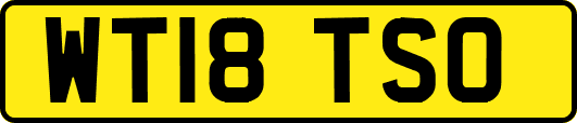 WT18TSO
