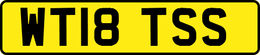 WT18TSS