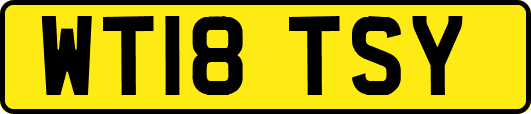WT18TSY