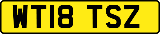 WT18TSZ
