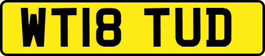 WT18TUD
