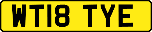 WT18TYE