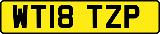 WT18TZP