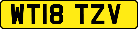 WT18TZV