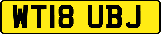 WT18UBJ