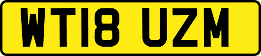 WT18UZM