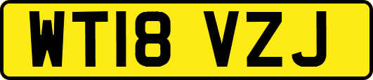 WT18VZJ