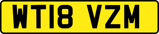 WT18VZM