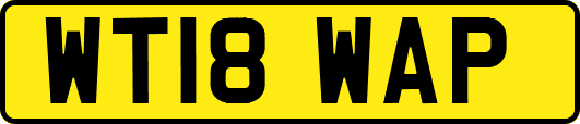 WT18WAP