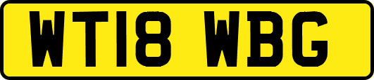 WT18WBG