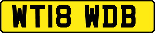 WT18WDB