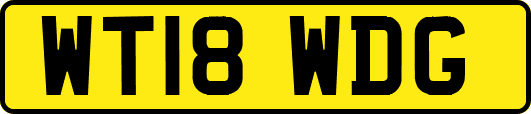 WT18WDG