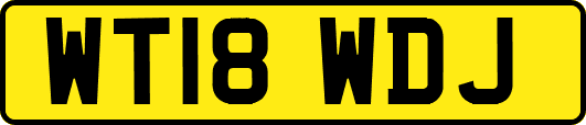 WT18WDJ