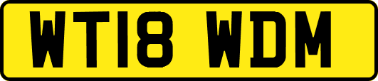WT18WDM