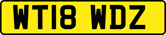 WT18WDZ
