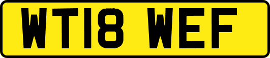 WT18WEF