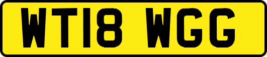 WT18WGG