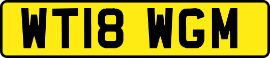 WT18WGM