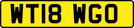 WT18WGO