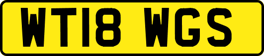 WT18WGS