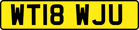 WT18WJU
