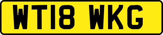 WT18WKG