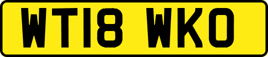WT18WKO