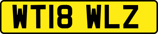 WT18WLZ