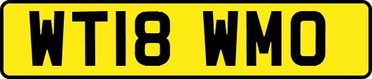 WT18WMO