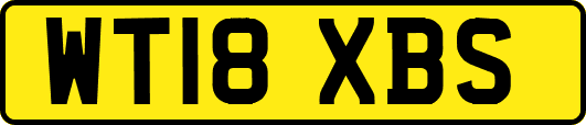 WT18XBS