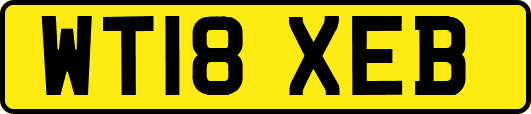 WT18XEB