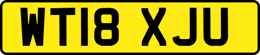 WT18XJU