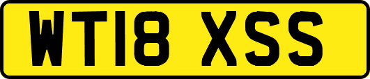 WT18XSS