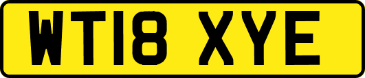 WT18XYE