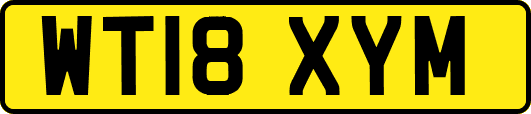 WT18XYM