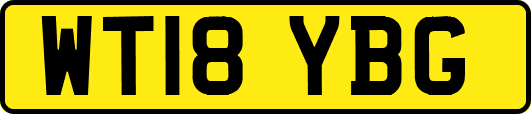 WT18YBG