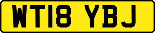WT18YBJ