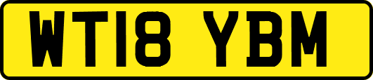WT18YBM
