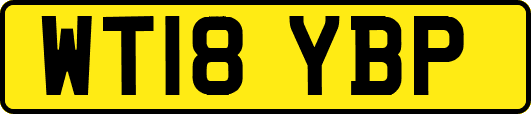 WT18YBP