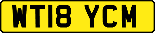 WT18YCM