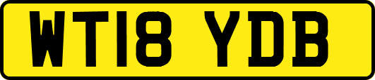 WT18YDB