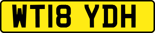 WT18YDH