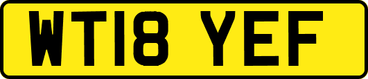 WT18YEF