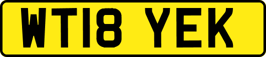 WT18YEK