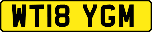 WT18YGM