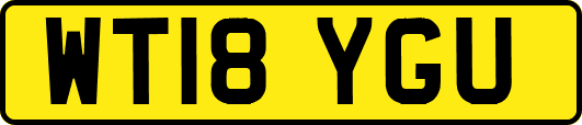 WT18YGU