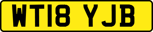 WT18YJB